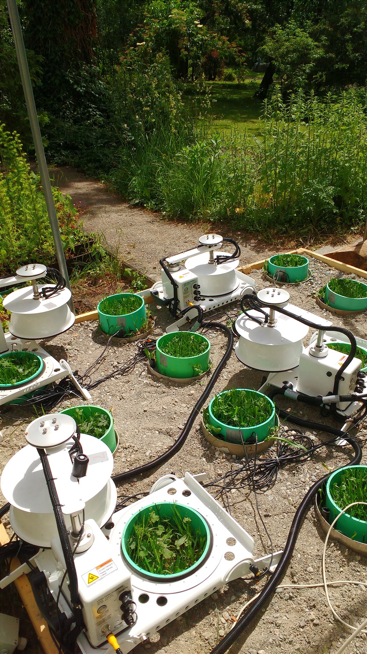 Experimental setup in the Botanical Garden of the University of Innsbruck