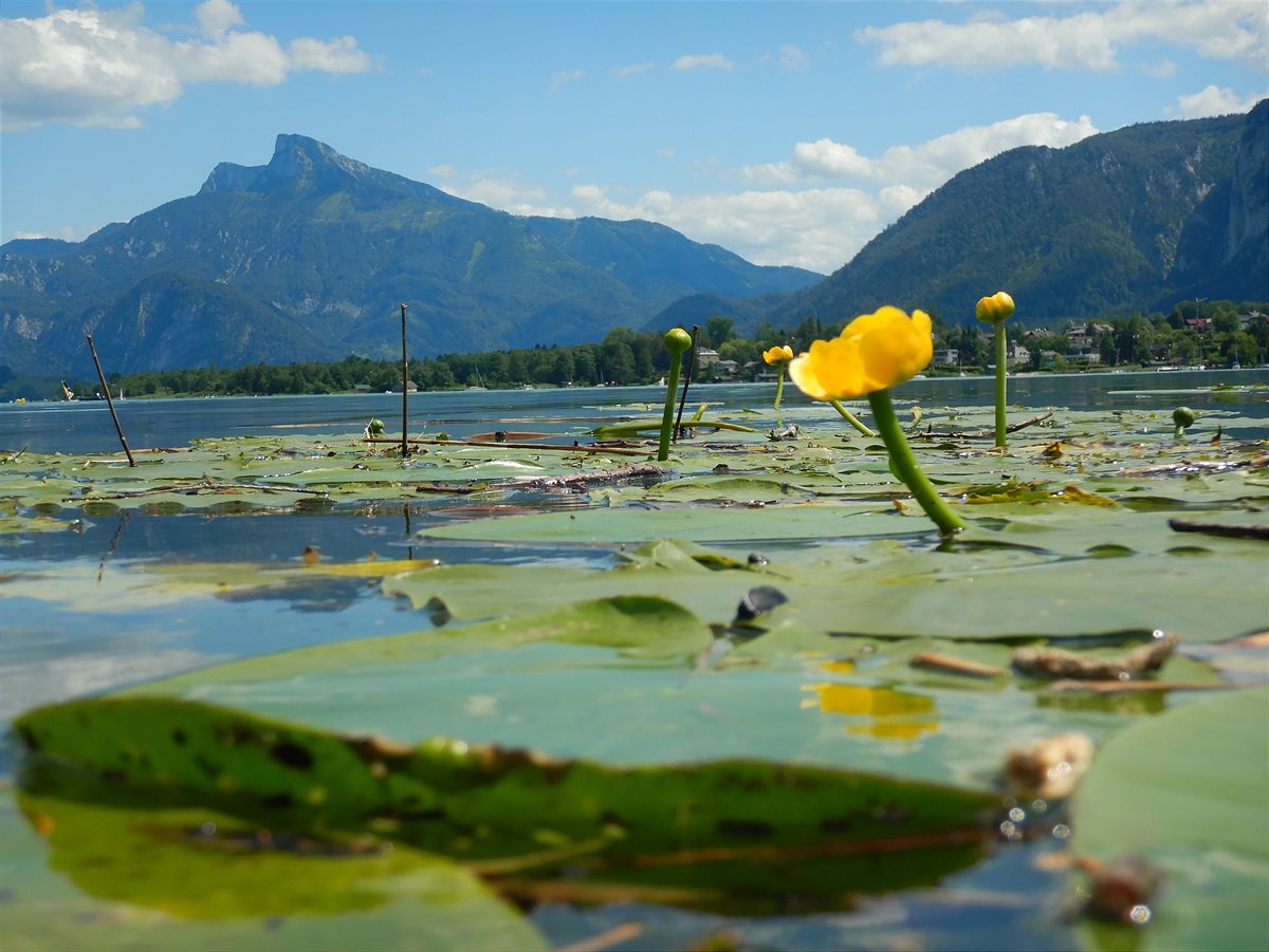 Mondsee