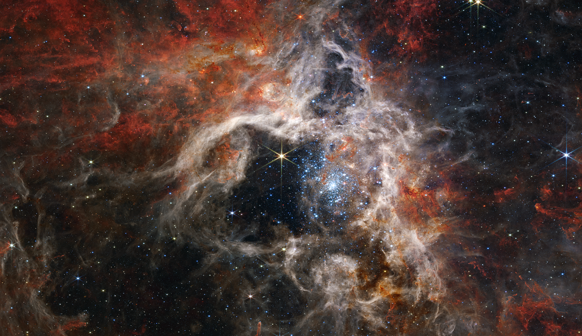 Sterne in ihren Molekülwolken