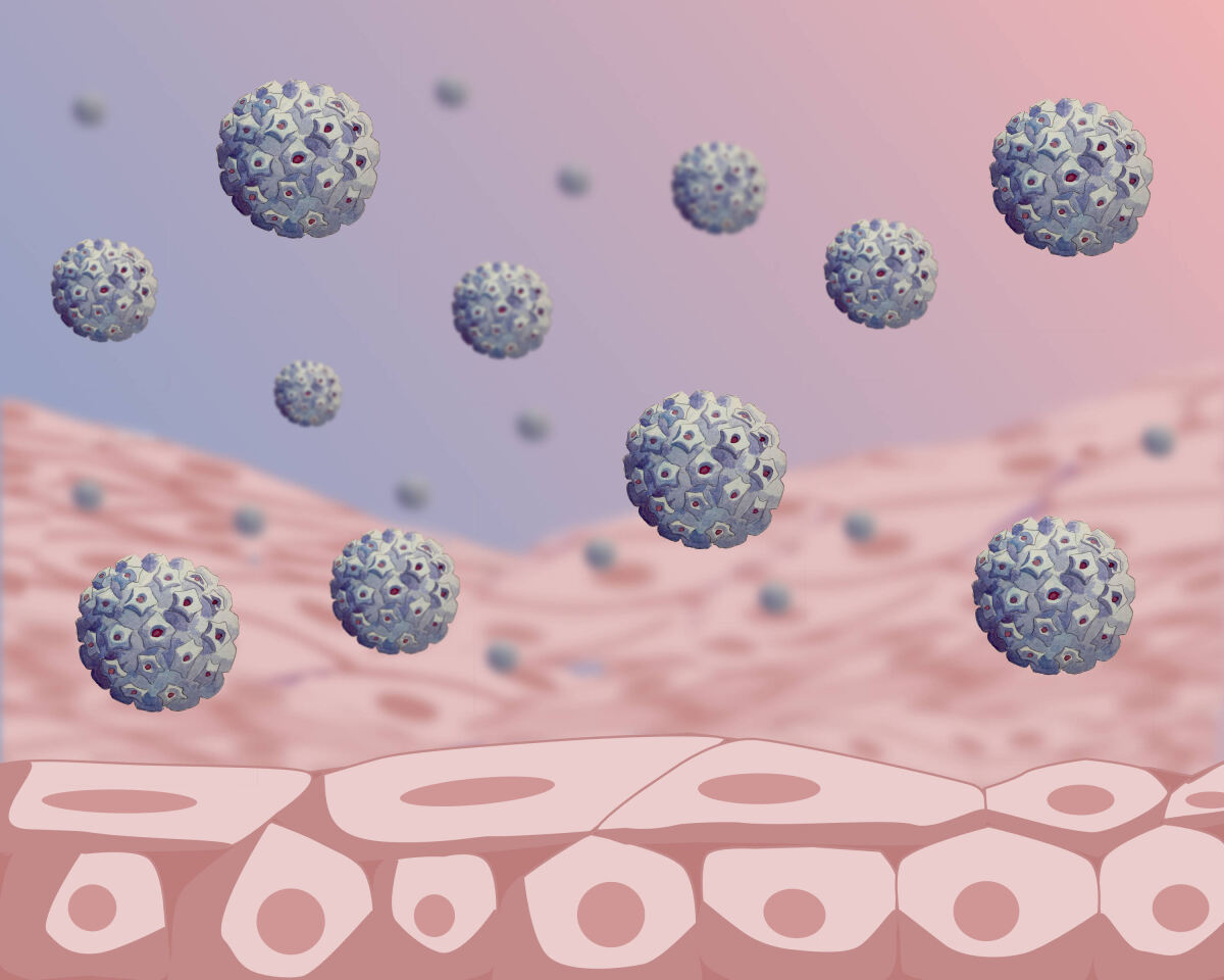 Illustration_HPV_Epithelzellen