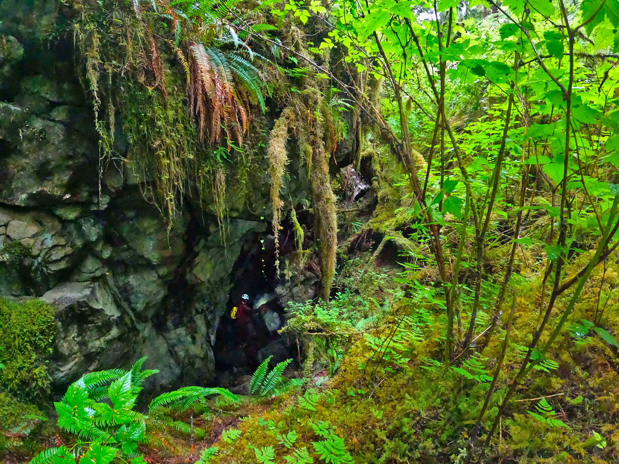 Feldforschung Prince-of-Wales-Insel (Alaska)