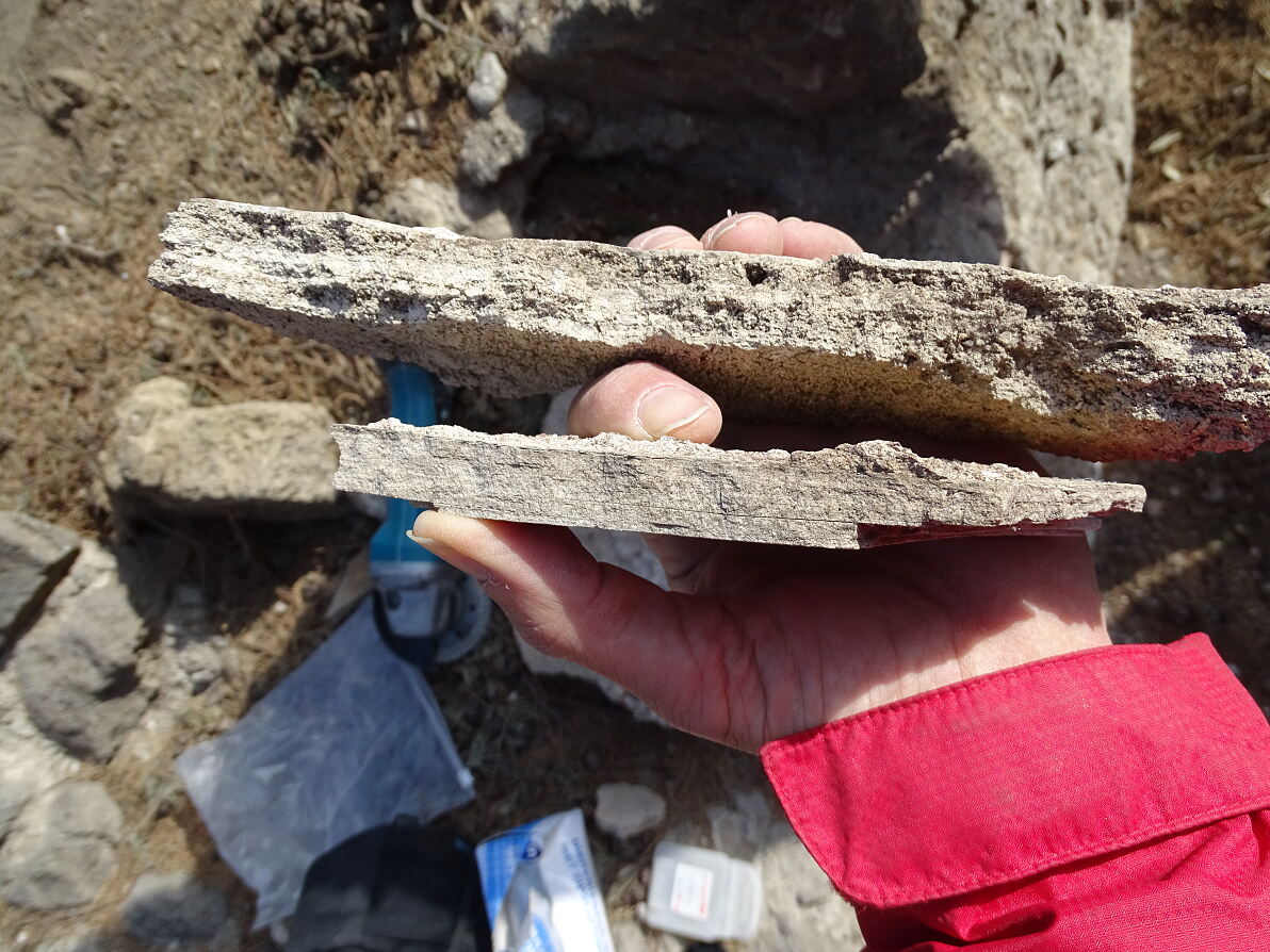 Ablagerungen in den Becken